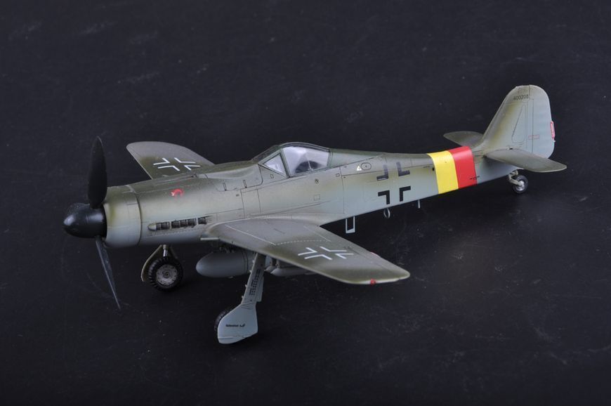 Збірна модель німецького винищувача Focke-Wulf FW190D-9 HB81716 фото