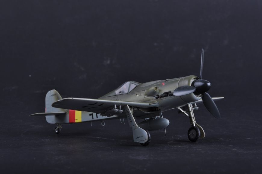 Збірна модель німецького винищувача Focke-Wulf FW190D-9 HB81716 фото