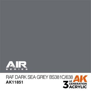 RAF Dark Sea Grey BS381C/638 AK11851 фото