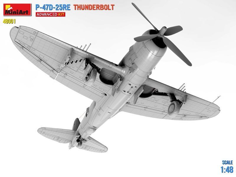 Збірна модель 1/48 WWII Military Miniatures Американський Винищувач Розширений комплект P-47D-25RE MA48001 фото