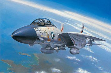 Збірна модель американського винищувача F-14A Tomcat HB80276 фото