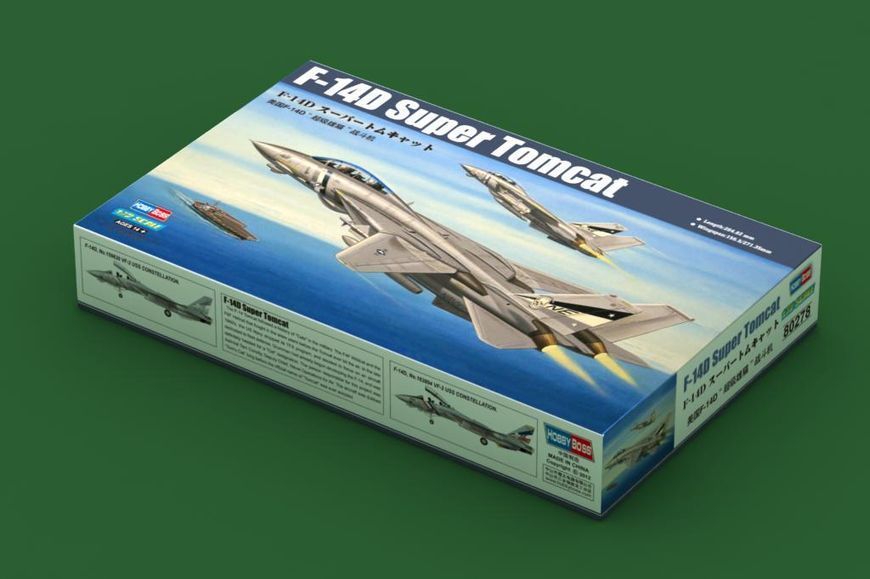 Збірна модель американського винищувача F-14D Super Tomcat HB80278 фото
