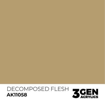 DECOMPOSED FLESH - STANDARD / ШКІРА, ЩО РОЗКЛАДАЄТЬСЯ AK11058 фото