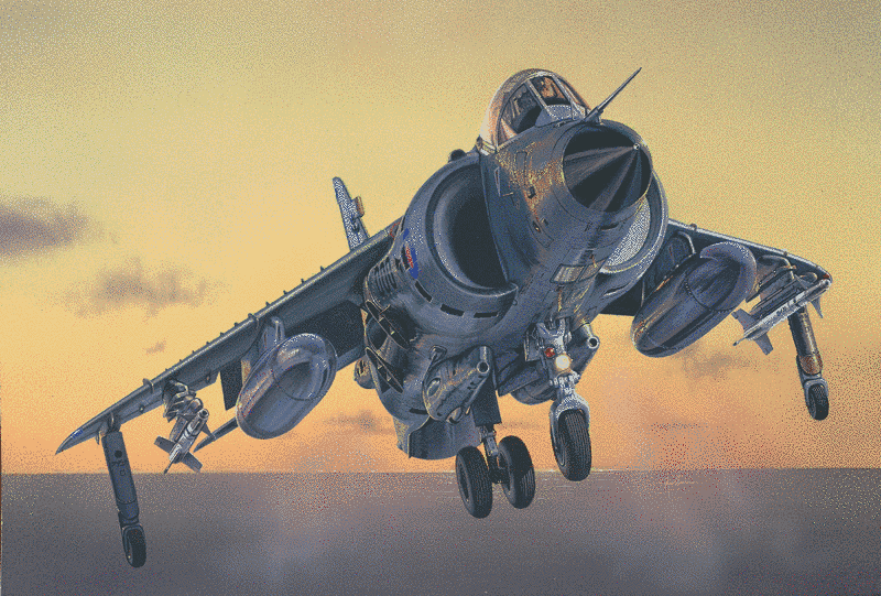 SEA HARRIER FRS.1 IT1236 фото