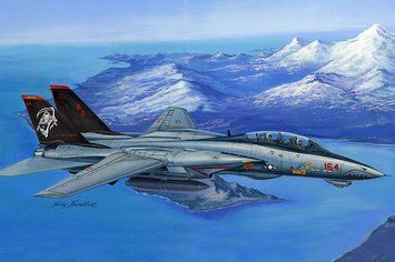 Збірна модель винищувача F-14D Super Tomcat HB80368 фото